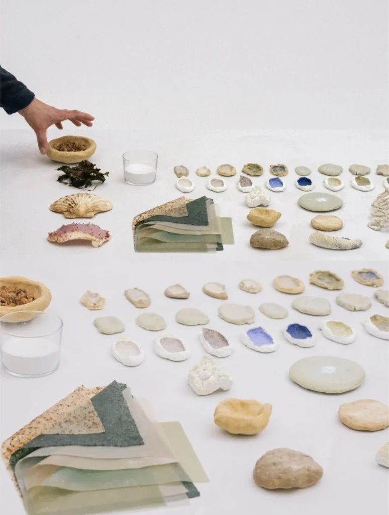 Shell clay ceramics